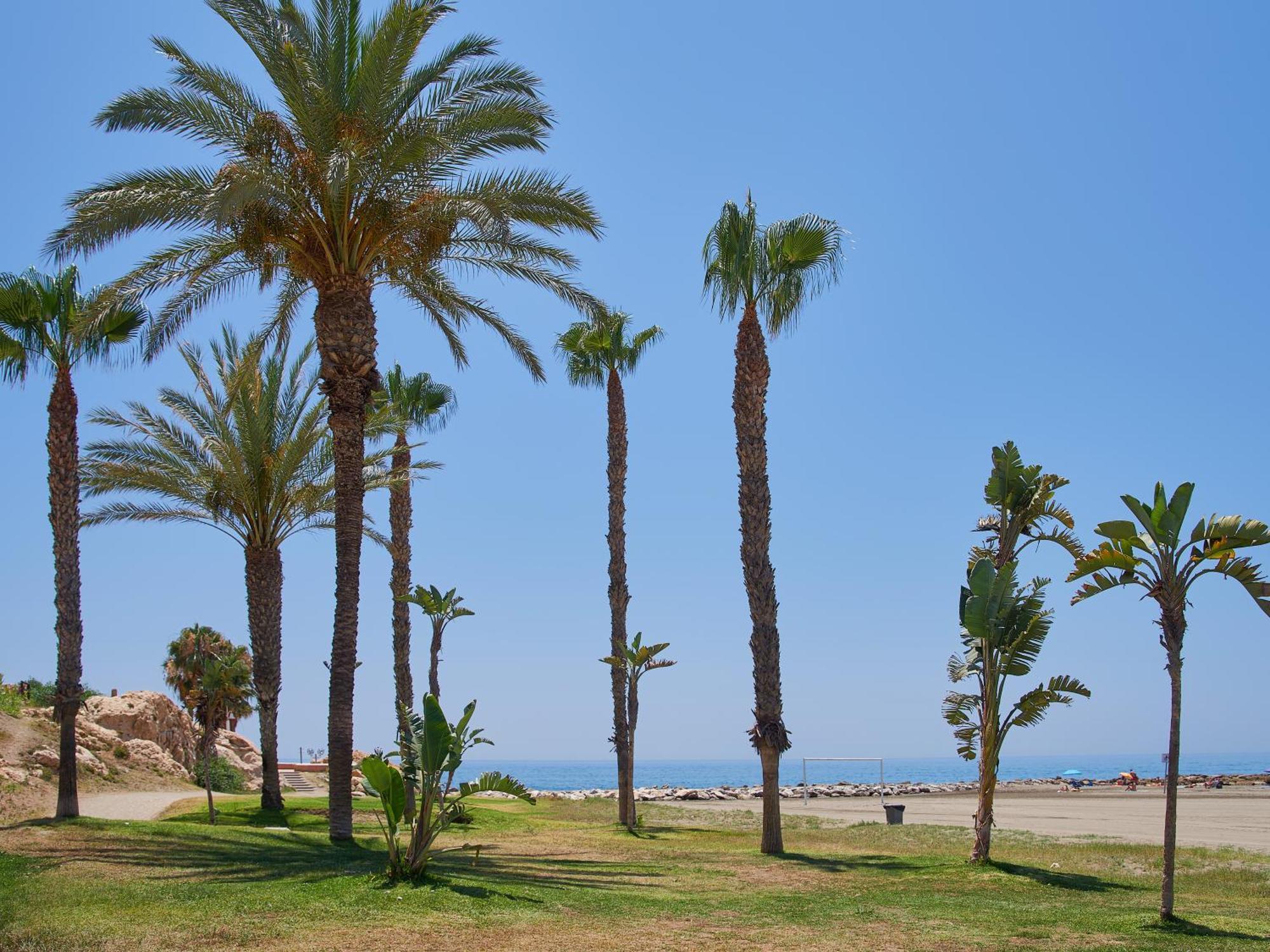 Lovely Studio With Seaview 700M From The Beach La Cala Del Moral Eksteriør bilde